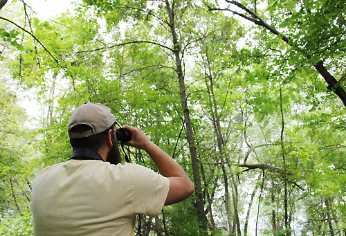 Birdwatchers from around the region flock to Rice Creek Chain of Lakes each spring to see scores of migratory bird species.