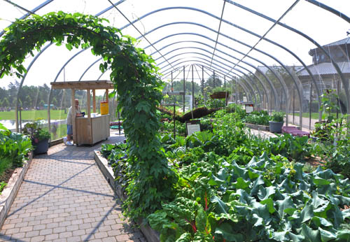 A trellis covered in hops arches over the walkway in the Edible Garden. The garden is designed to appear ornamental while still yielding produce.
