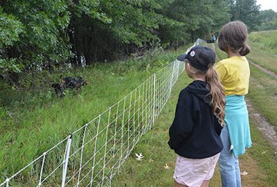 Two children standing in front of a fence along an unpaved path, with a goat near trees in the background.