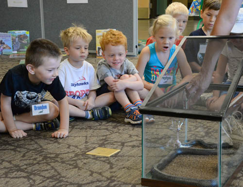Park agencies are encouraged to target more funds to activities like programming for youth and families under the Legacy plan’s priority of “connecting people and the outdoors.” Pictured here are children visiting the Eastman Nature Center at Elm Creek Park Reserve in Maple Grove.