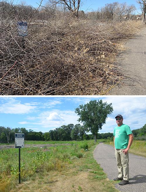 At top is a 2019 view of the trail on the east side of the wetland, with cut buckthorn stacked in piles along the shoreline. Below is the same view, three years later, as native wildflowers and grasses thrive in the buffer zone. Pictured is Bill Bartodziej, natural resources specialist for the Ramsey-Washington Metro Watershed District.