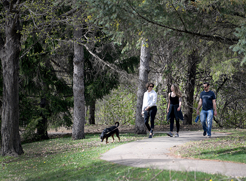 Three people walking with a dog on a paved path through a park.