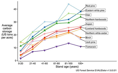 In order of most carbon storage to least: red pine, eastern white pine, oak, northern hardwoods, aspen, lowland hardwoods, northern white-cedar, birch, jack pine, tamarack.