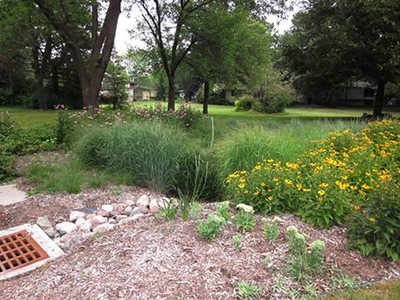 Swale and raingarden in Shoreview. (Photo courtesy City of Shoreview) Rocks next to an area of tall grasses and blooming wildflowers.