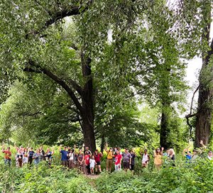 About two dozen people under a large tree.