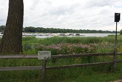 A wooden fence in front of a wildflower planting next to a lake.