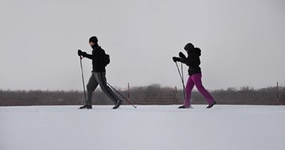 Two people cross-country skiing.