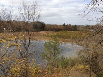 Water with trees bordering.