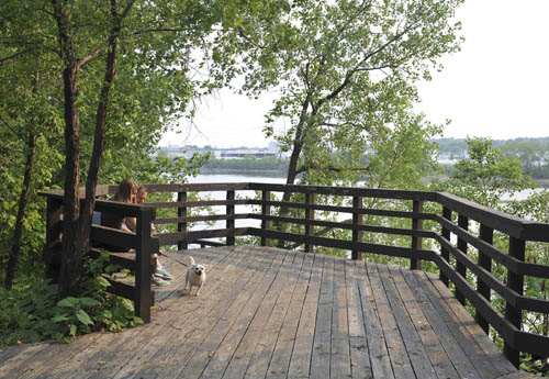 A wood platform with railings, with trees and the river in the background.