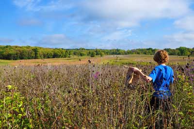 A person walking with a paper bag through tall wildflowers and grasses.