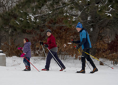Two adults and a young child cross country ski at a park.