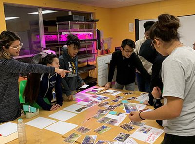 7 people arranging photos around a table.