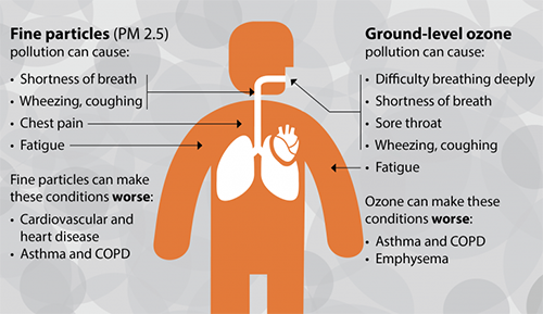 Graphic showing pollution can cause breathing issues, fatigue, chest pain, and more.