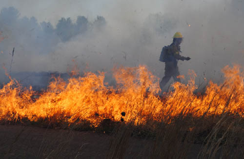 Crews keep the fire under control as it moves across the native grassland.