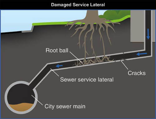 Damage to the sewer line that runs from a building to the sewer main in the street is a common source of infiltration on private property.
