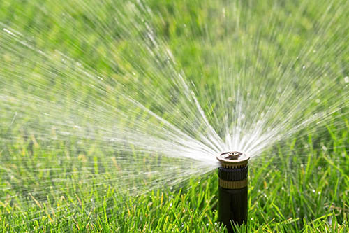 Sprinkler spraying in grass.