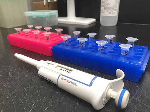 A pink container and a blue container, each holding 8 vials.