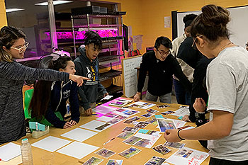 A team of 7 people working together at a table.