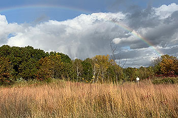 Rainbow on an oak savanna.