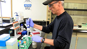 Research scientist extracts viral genetic material from a wastewater sample in the Metro Plant laboratory.