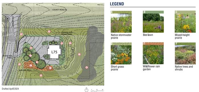 Map of Lift Station 75 site plan south of County Road 42 and south east of Auburn Avenue. Sustainable landscape plantings will include native stormwater prairie, bee lawn, mixed-height prairie, short grass priarie, wildflower rain garden, and native trees and shrubs. The L75 site plan also shows existing white pine trees, bur oak trees, and eastern red cedar trees that will be maintained.