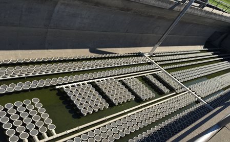 Photo of many round objects in rows and columns, making up the existing aeration diffuser grid