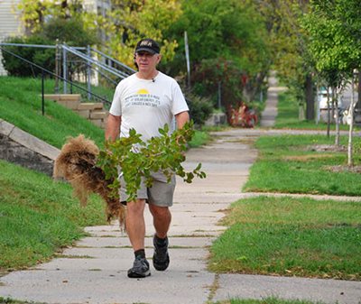 Man carries young tree down sidewalk before planting along boulevard.