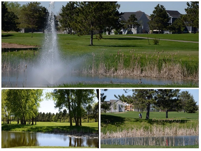 Stormwater Reuse Hugo Metropolitan Council