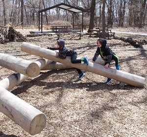 Large, criss-crossing logs adjacent to a picnic area create a play space for children to climb.