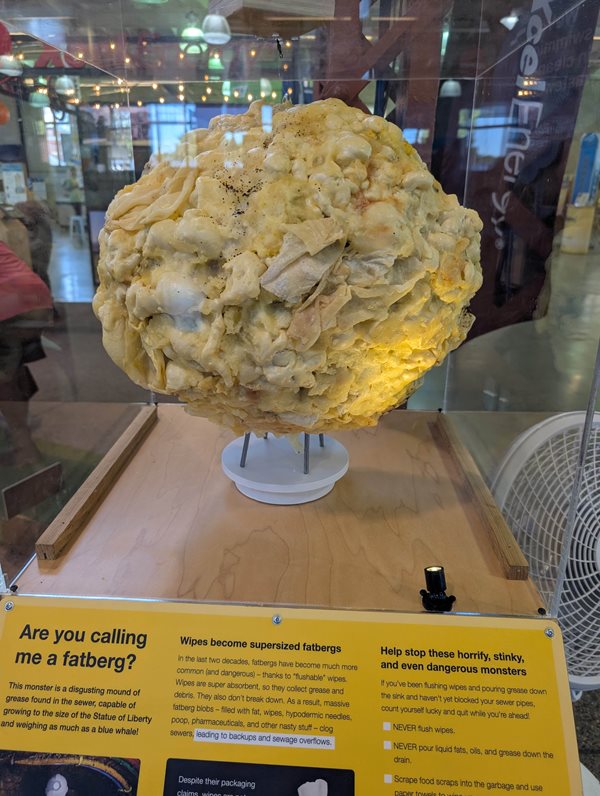 When you throw the wrong things down the toilet or drain – like oils, “flushable” wipes, and dental floss, they can form giant blobs that cause sewer back-ups into homes. Eew! Inside a glass case is a blob of wipes and other items that illustrates what happens when they are put into the wastewater system, congeal, and became a “fatberg.”