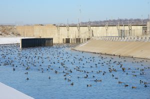 waste water treatment effluent