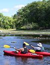 People kayaking on a lake