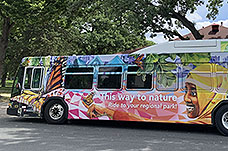 Bus with colorful images.