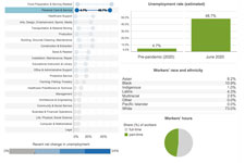 Screengrab of one of the economic impact charts.